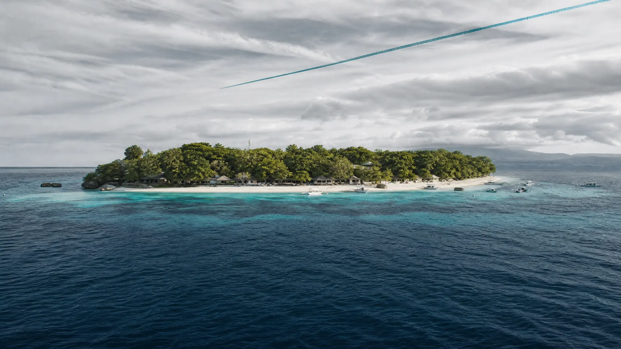 Nehmen Sie an einer morgendlichen Bootstour ab Panglao teil, um Ostpazifische Delfine zu sehen und in diesem geschützten Meeresschutzgebiet zwischen Meeresschildkröten und riesigen Schwärmen von Stachelmakrelen zu schnorcheln.