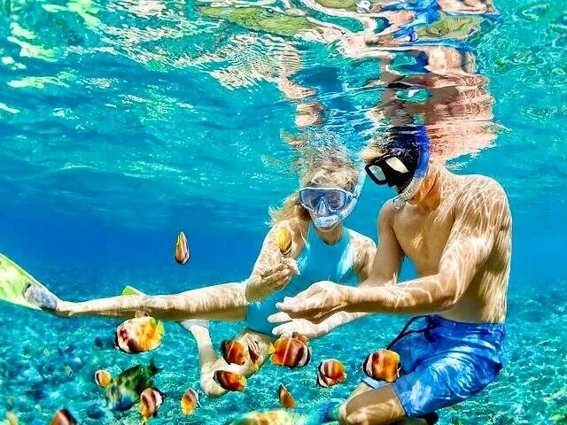 Paar schnorchelt unter Wasser zwischen tropischen Fischen und streckt die Hand aus, um sie zu berühren