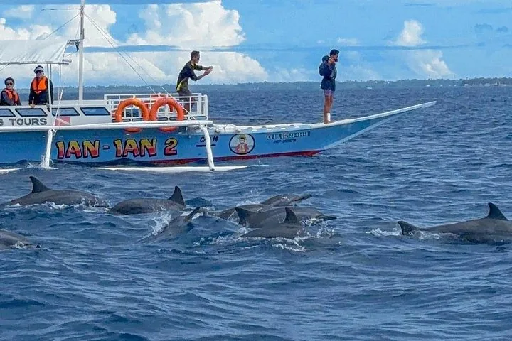 Ausflugsboot beobachtet eine Gruppe von Delfinen, die im Ozean schwimmen